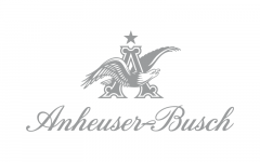 Dot Client Partners-Anheuser Busch
